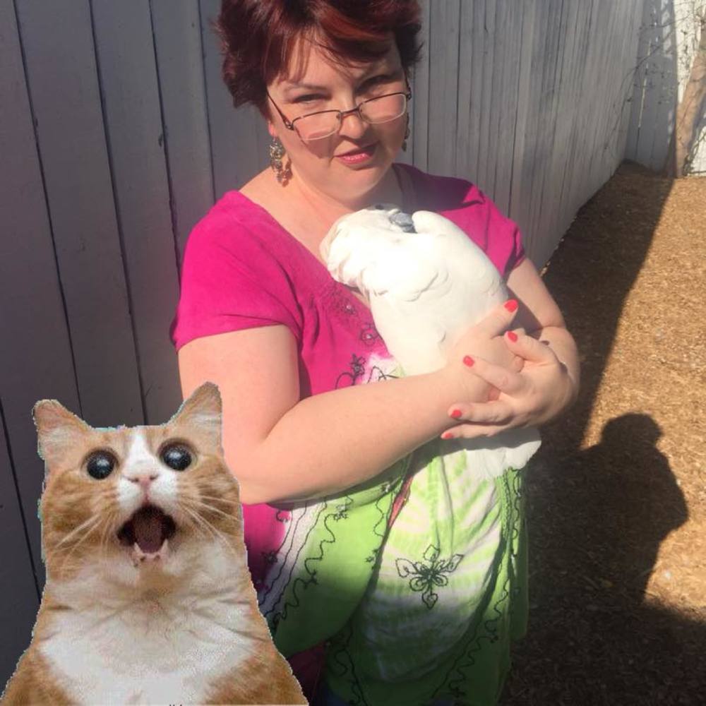 Meet your Posher, Jennifer